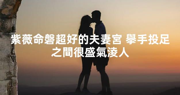 紫薇命磐超好的夫妻宮 擧手投足之間很盛氣淩人